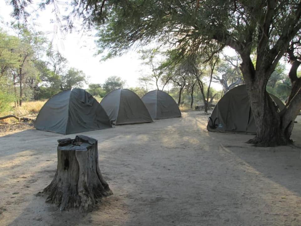 ホテル Camp Mara オマルル エクステリア 写真